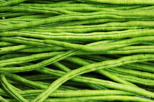 豇豆 花絮